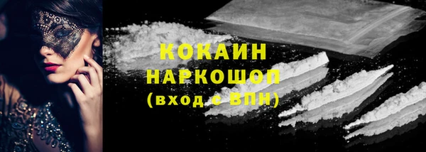 прущие грибы Сатка