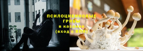 мет Аркадак