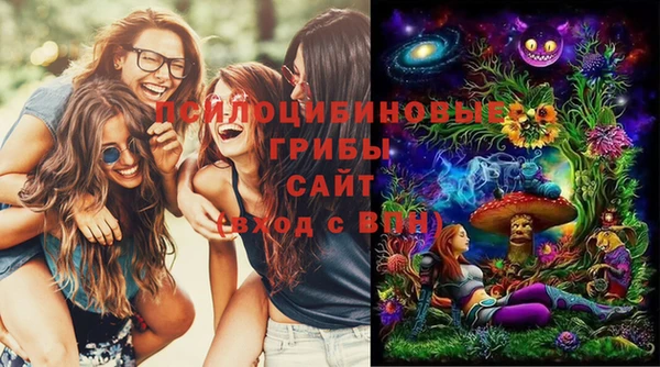 гашик Баксан